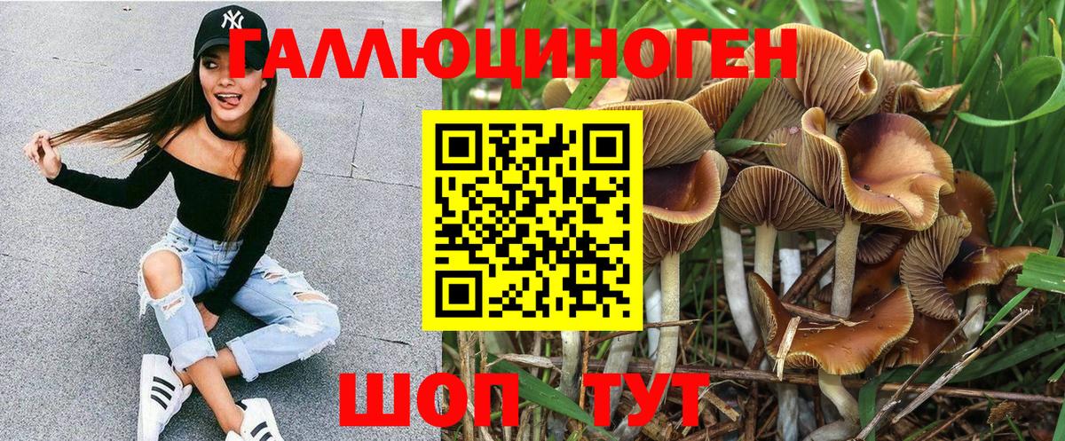 Артём  Галлюциногенные грибы мицелий  Вход с VPN 