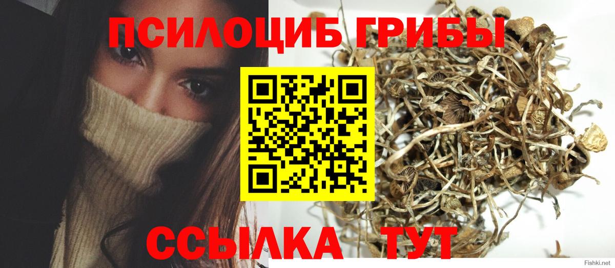 Галлюциногенные грибы GOLDEN TEACHER Артём